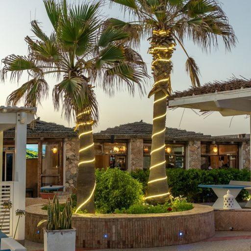 Mimid Dunes Beach Mirleft Exterior photo